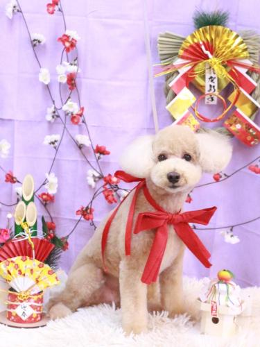 20230125モコくん